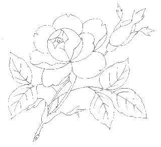 n`摜